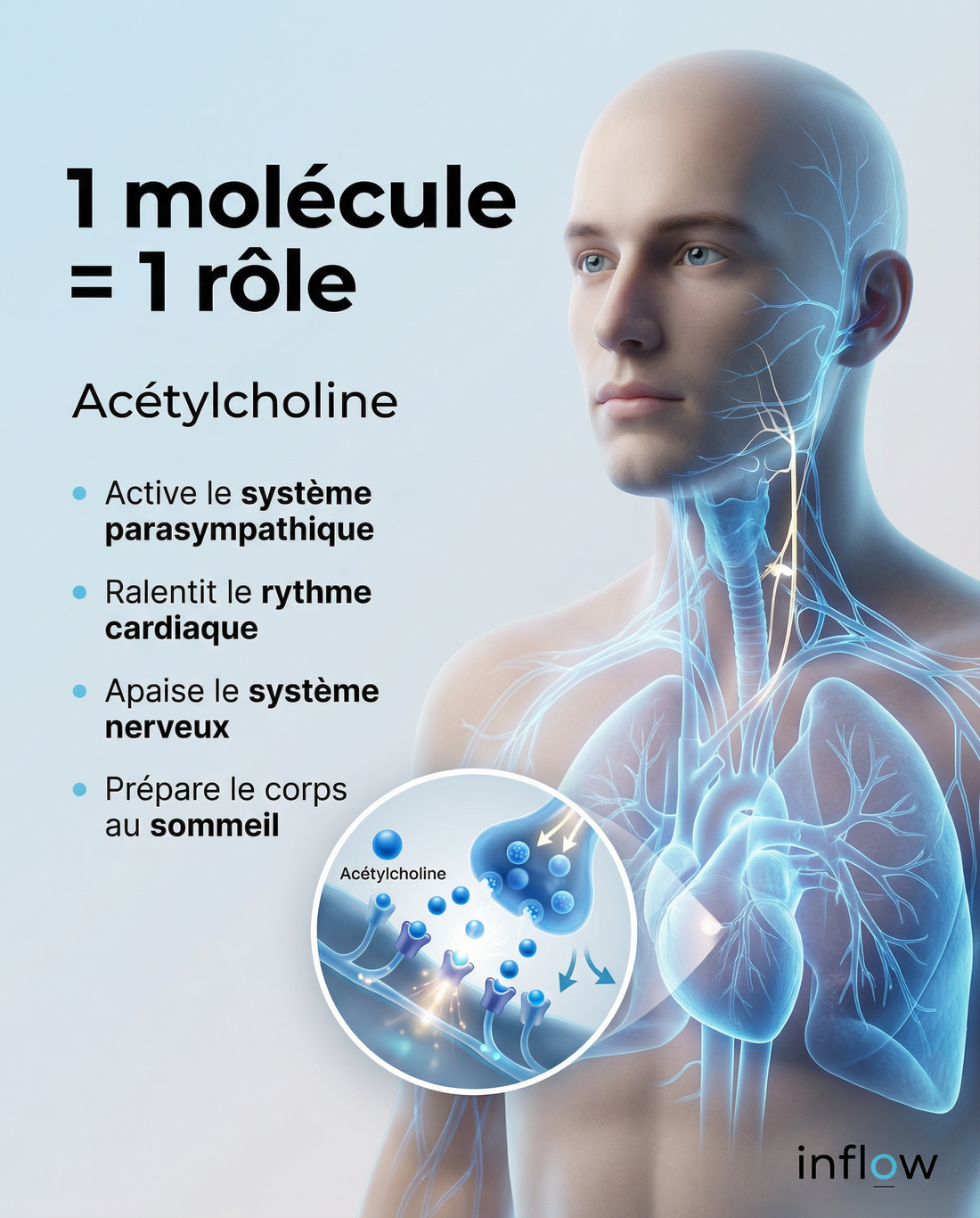Vitamine D : Optimisez Votre Sommeil Profond et Réparateur