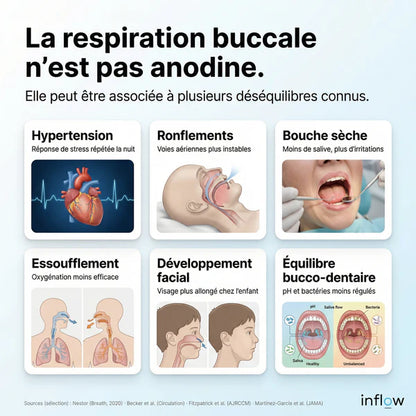 48 Bandes buccales en forme de 'H'