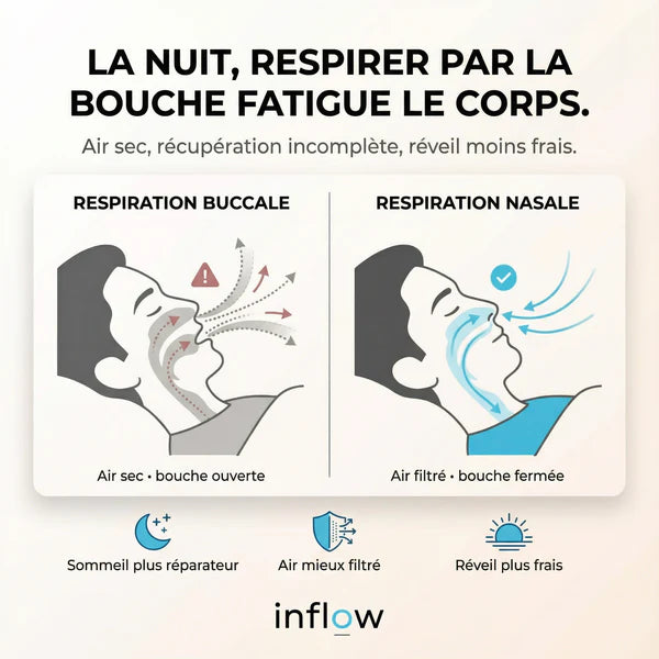 48 Bandes buccales en forme de 'H'